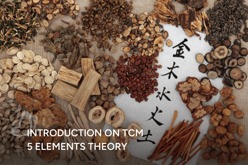 TCM 5 Elements Theory Thumbnail.png