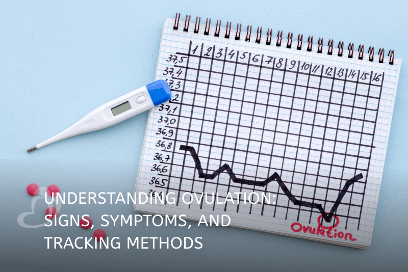 Understanding Ovulation_Thumbnail_400x267.png