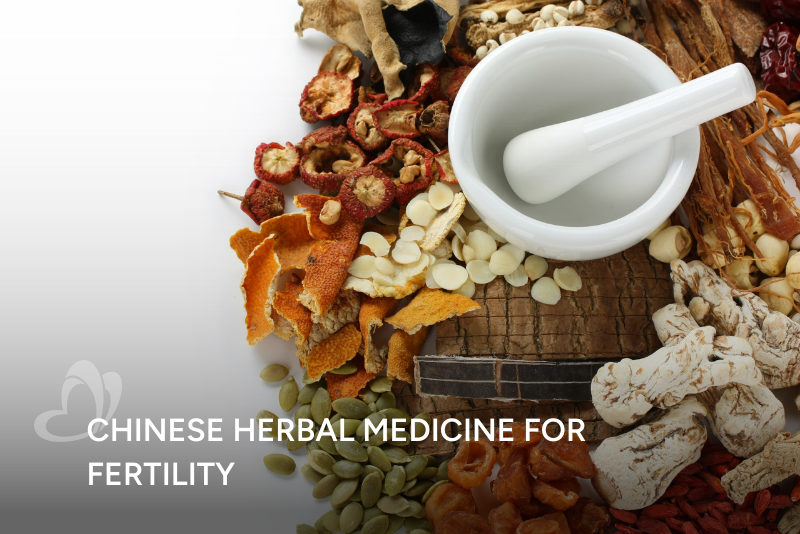 TCM Chinese Herbal Medicine for Fertility Thumbnail.png