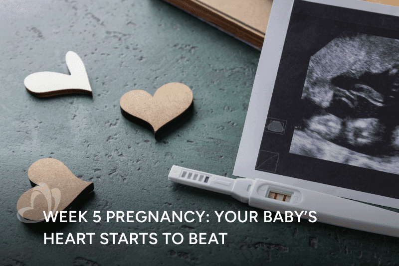 Pregnancy Week 5-Thumbnail.png