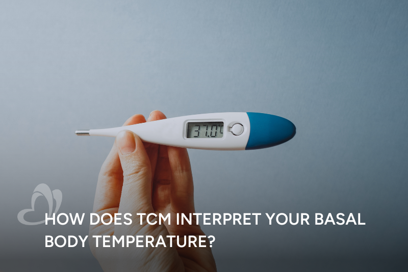 TCM Basal Body Temperature Thumbnail.png