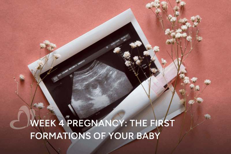 Pregnancy Week 4-Thumbnail.png